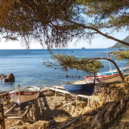 Apartamento Provence Azur - Grand Avec Piscine Proche Mediterranee La Seyne-sur-Mer