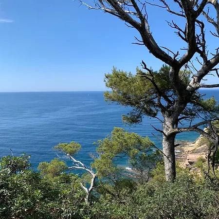Provence Azur - Grand Avec Piscine Proche Mediterranee *